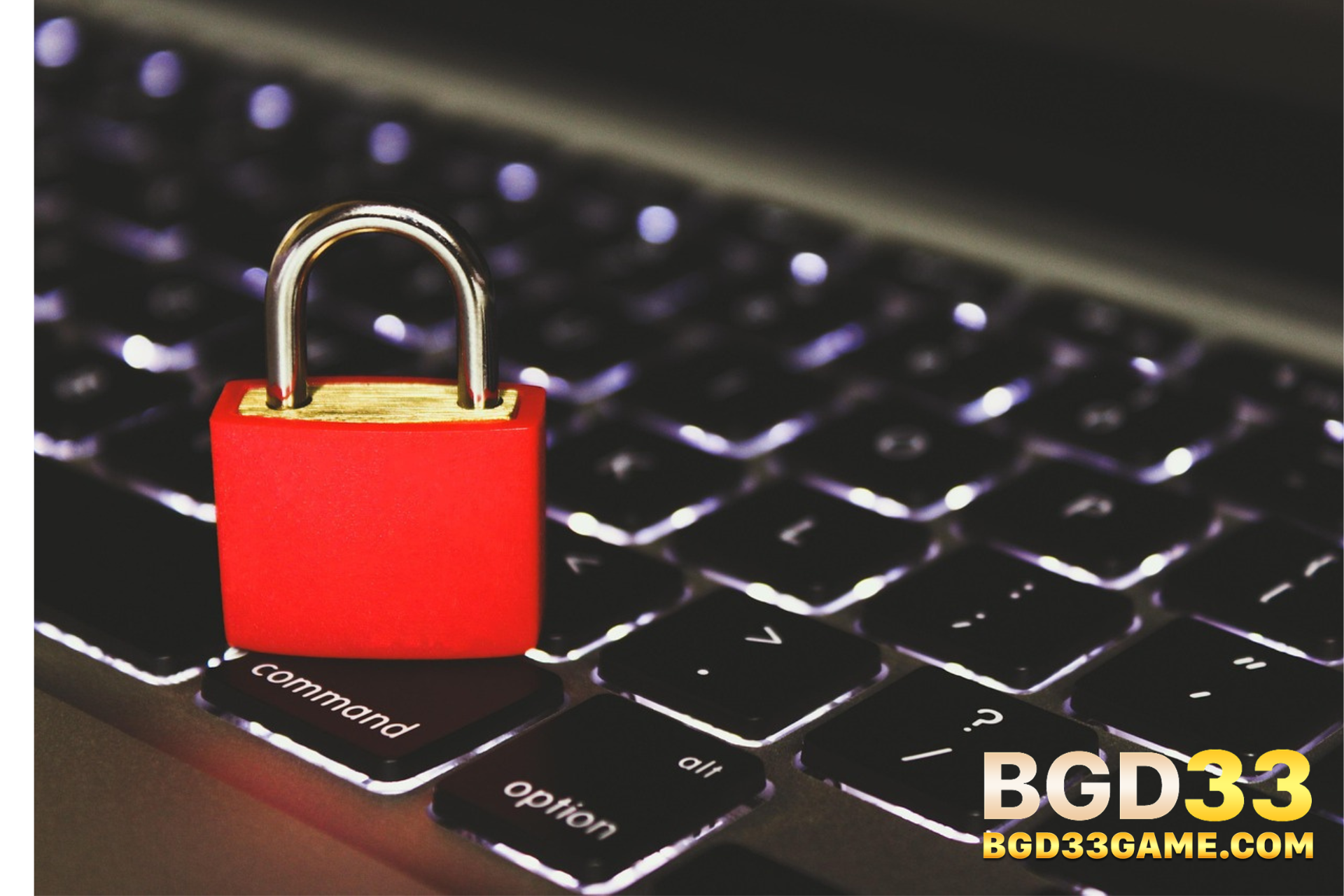 BGD33 Bangladesh Security